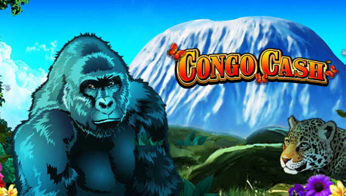 Cómo es el juego congo cash